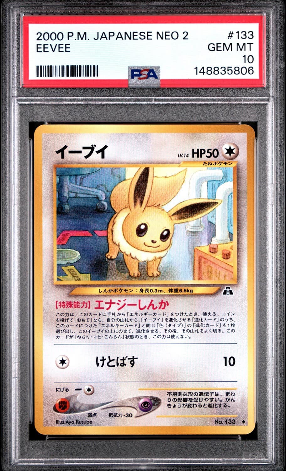 Eevee