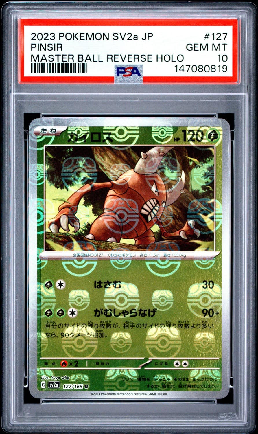 Pinsir