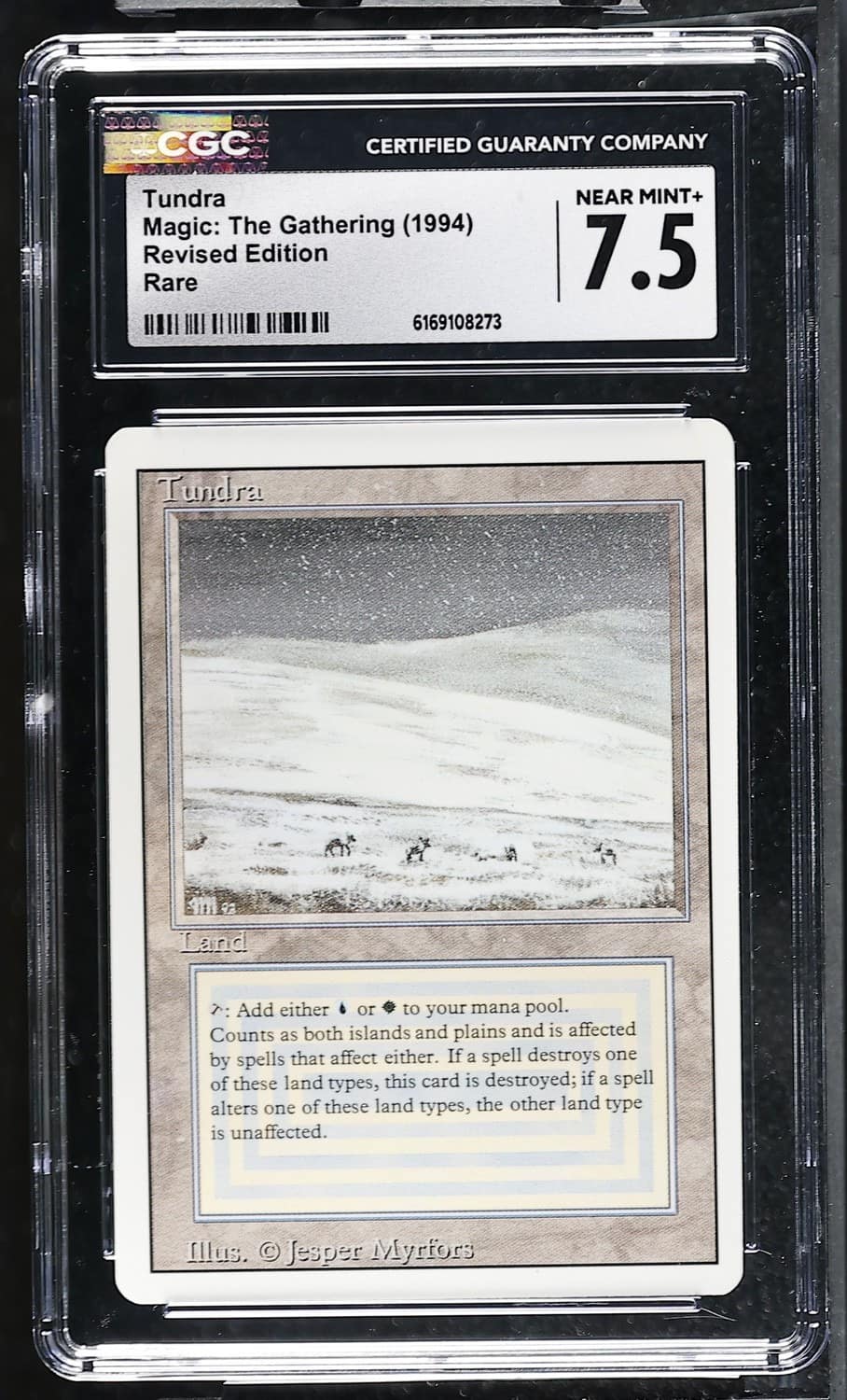 Tundra