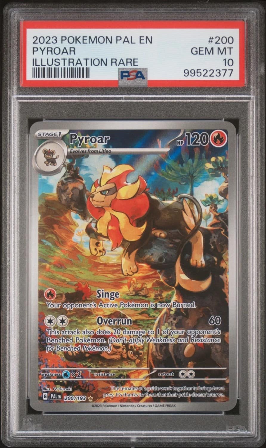 Pyroar