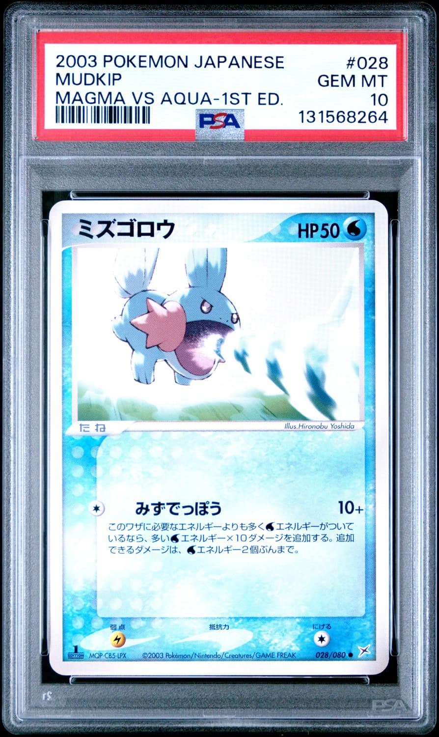 Mudkip