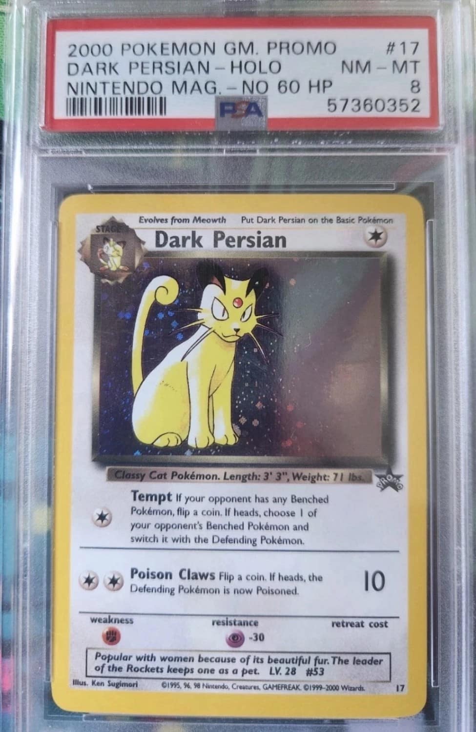 Dark Persian