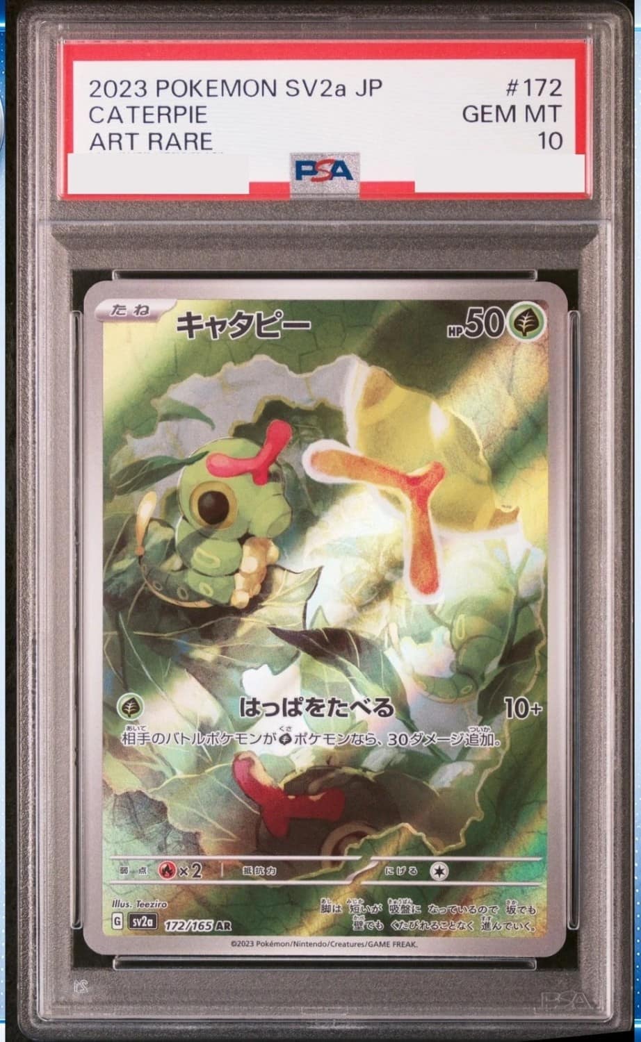 Caterpie