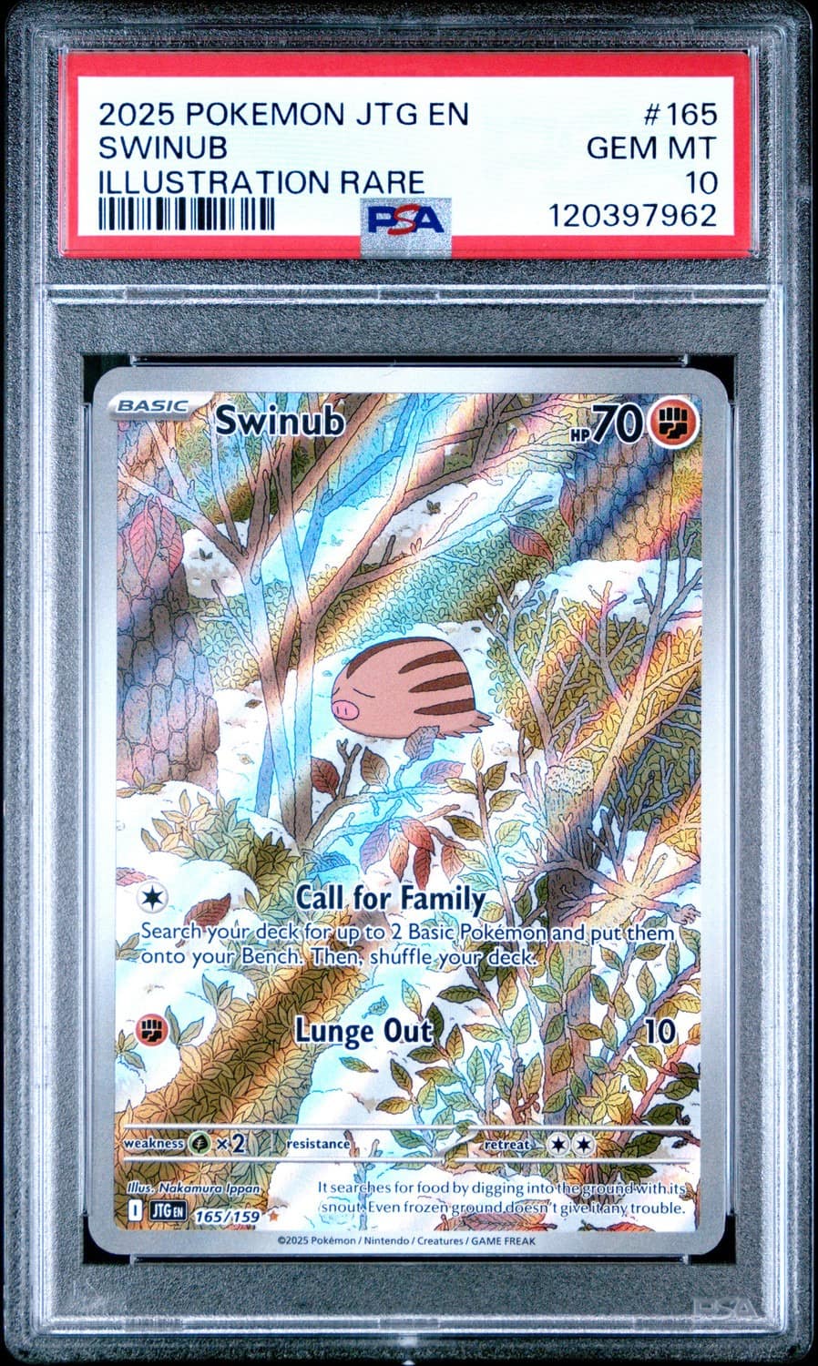 Swinub