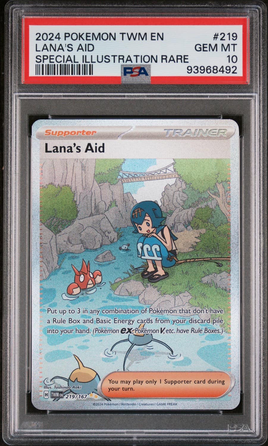 Lana'S Aid