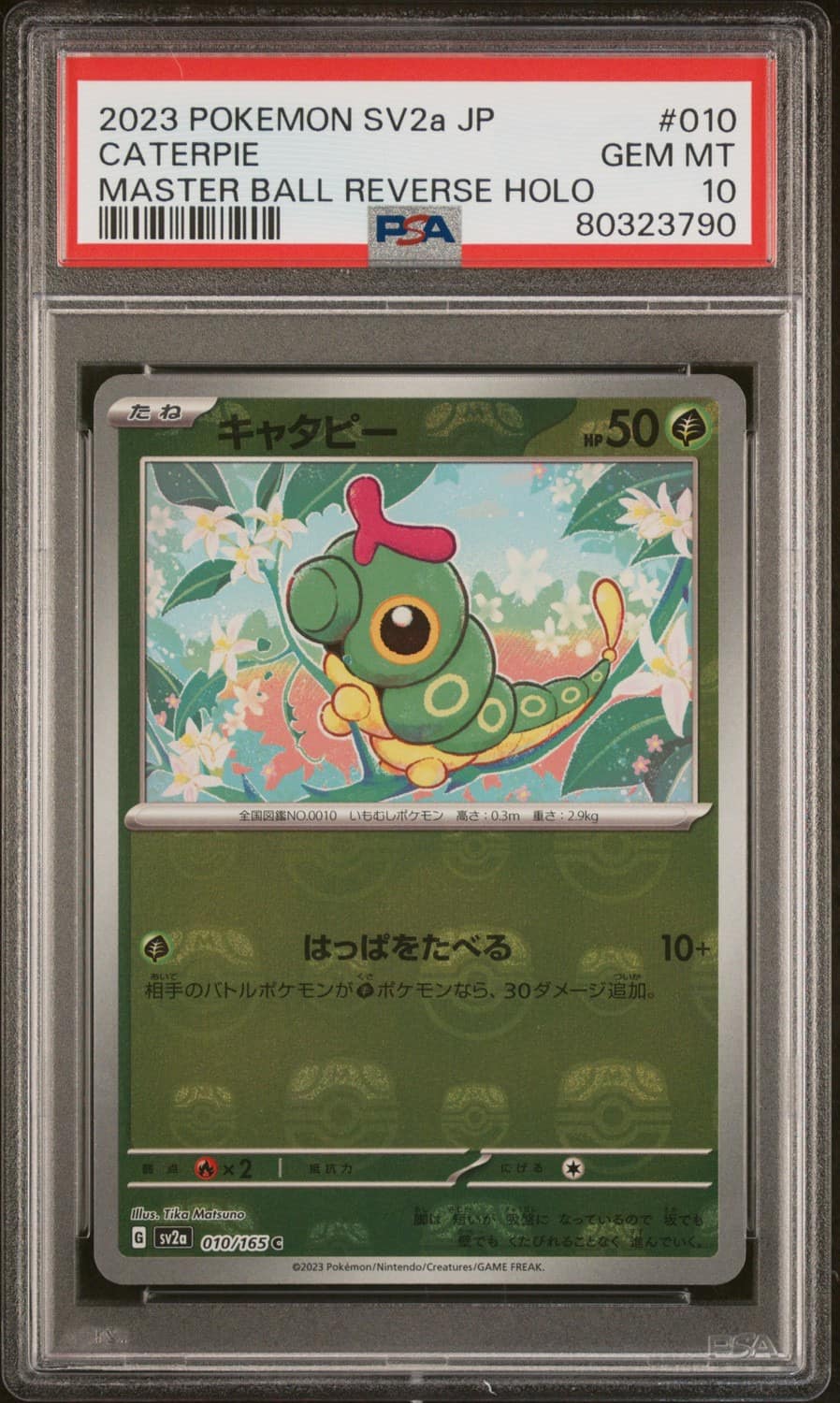 Caterpie
