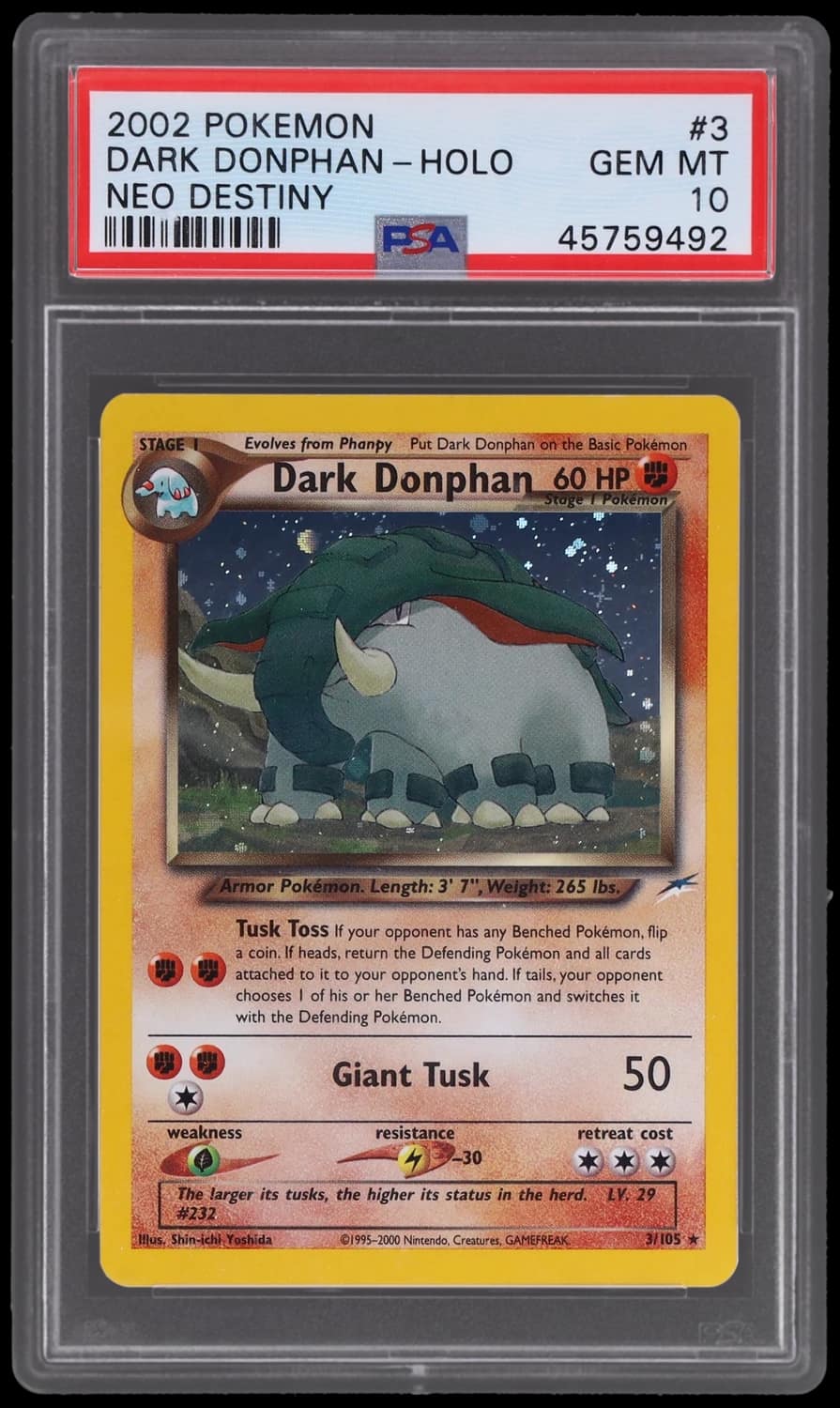 Dark Donphan