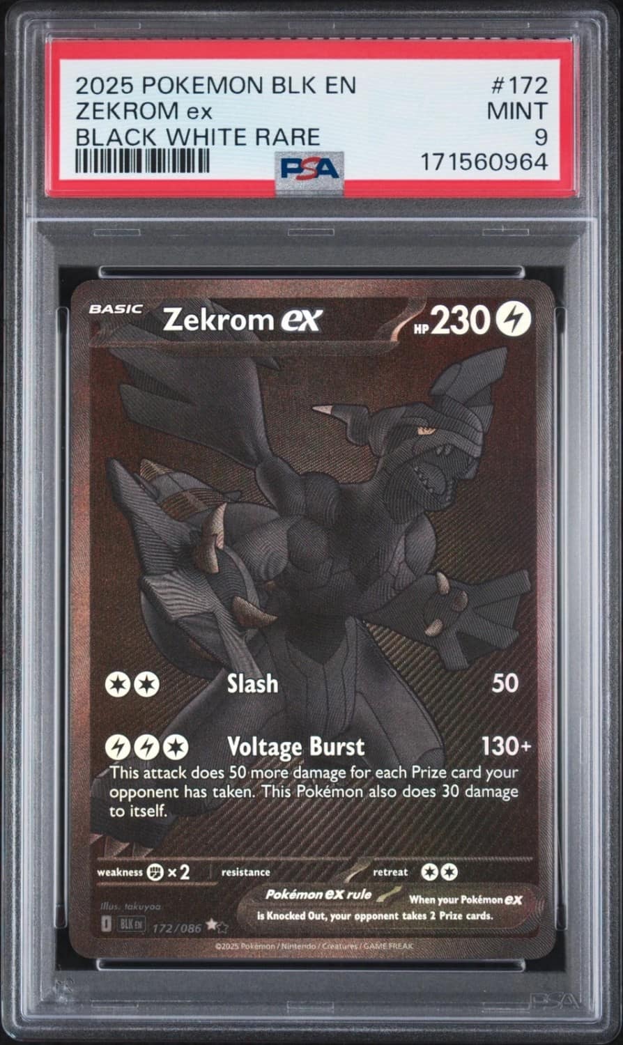 Zekrom Ex