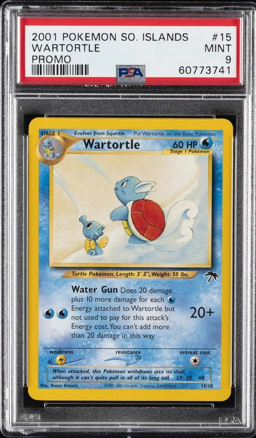 Wartortle