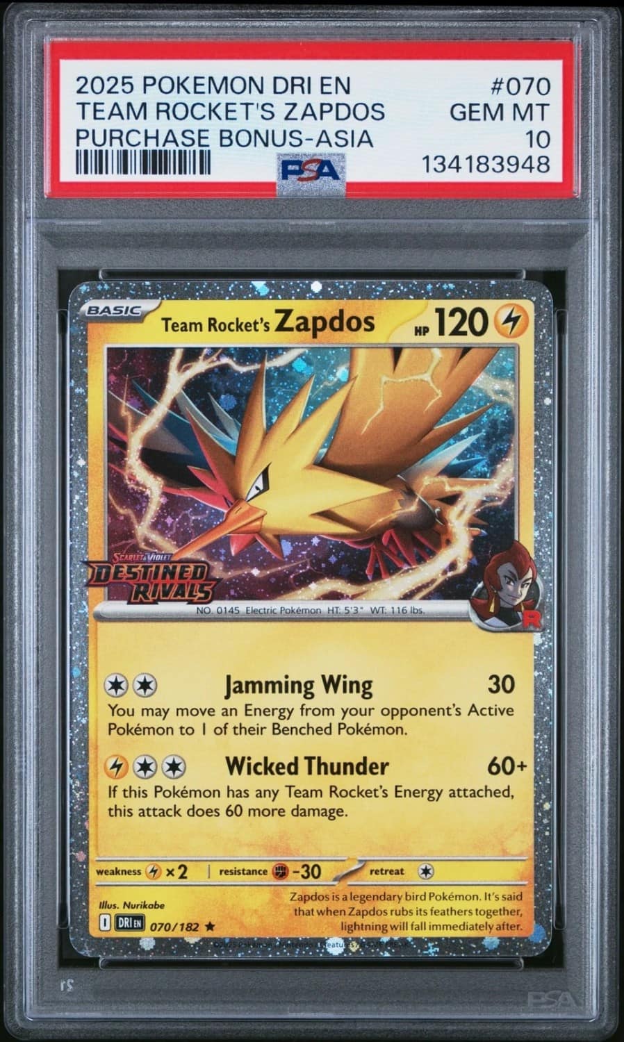 Team Rocket'S Zapdos