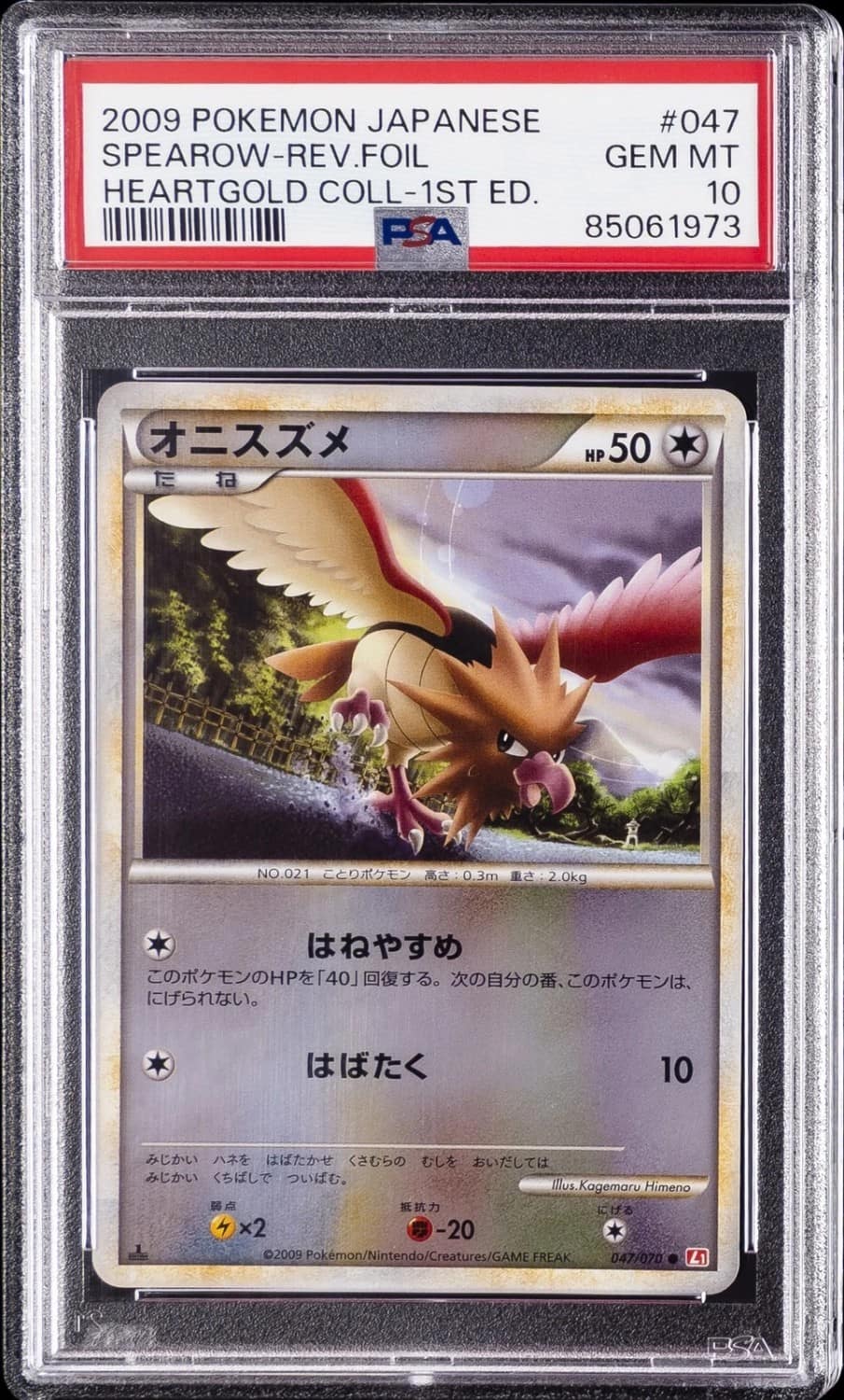 Spearow