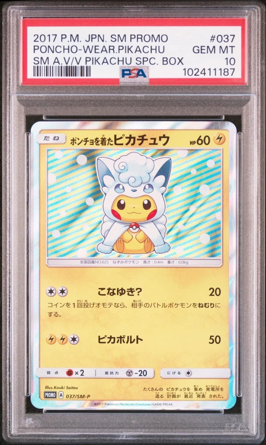 Poncho-Wearing Pikachu