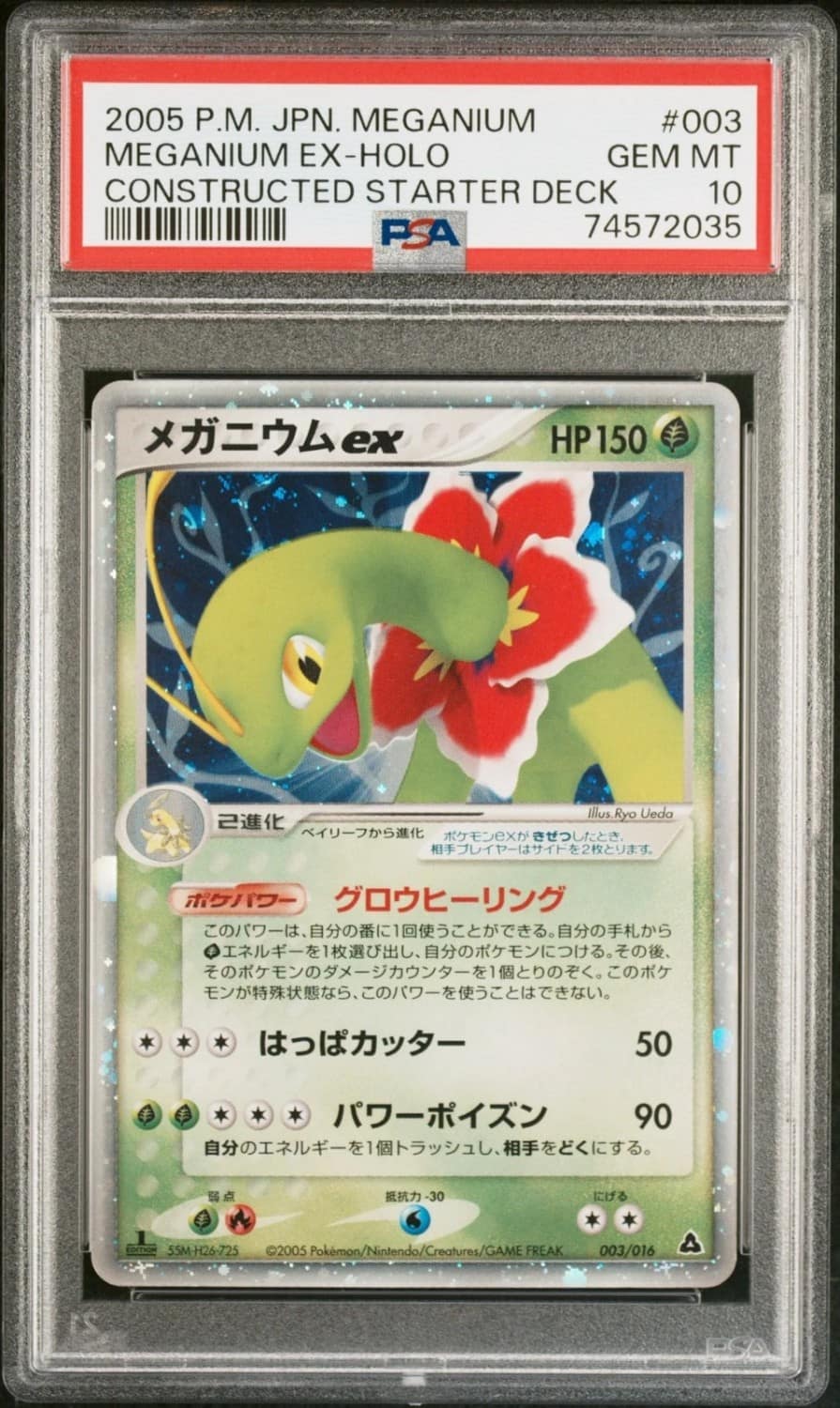 Meganium Ex