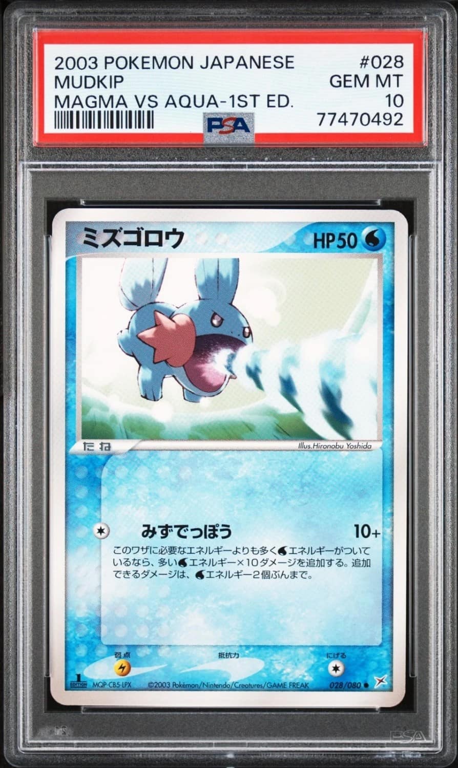 Mudkip