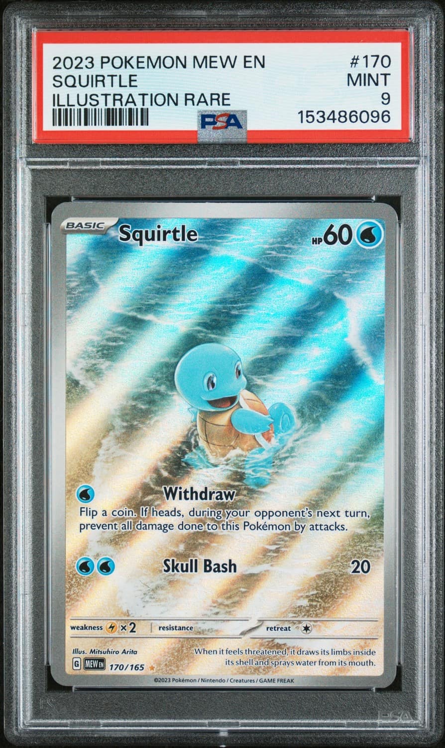 Squirtle