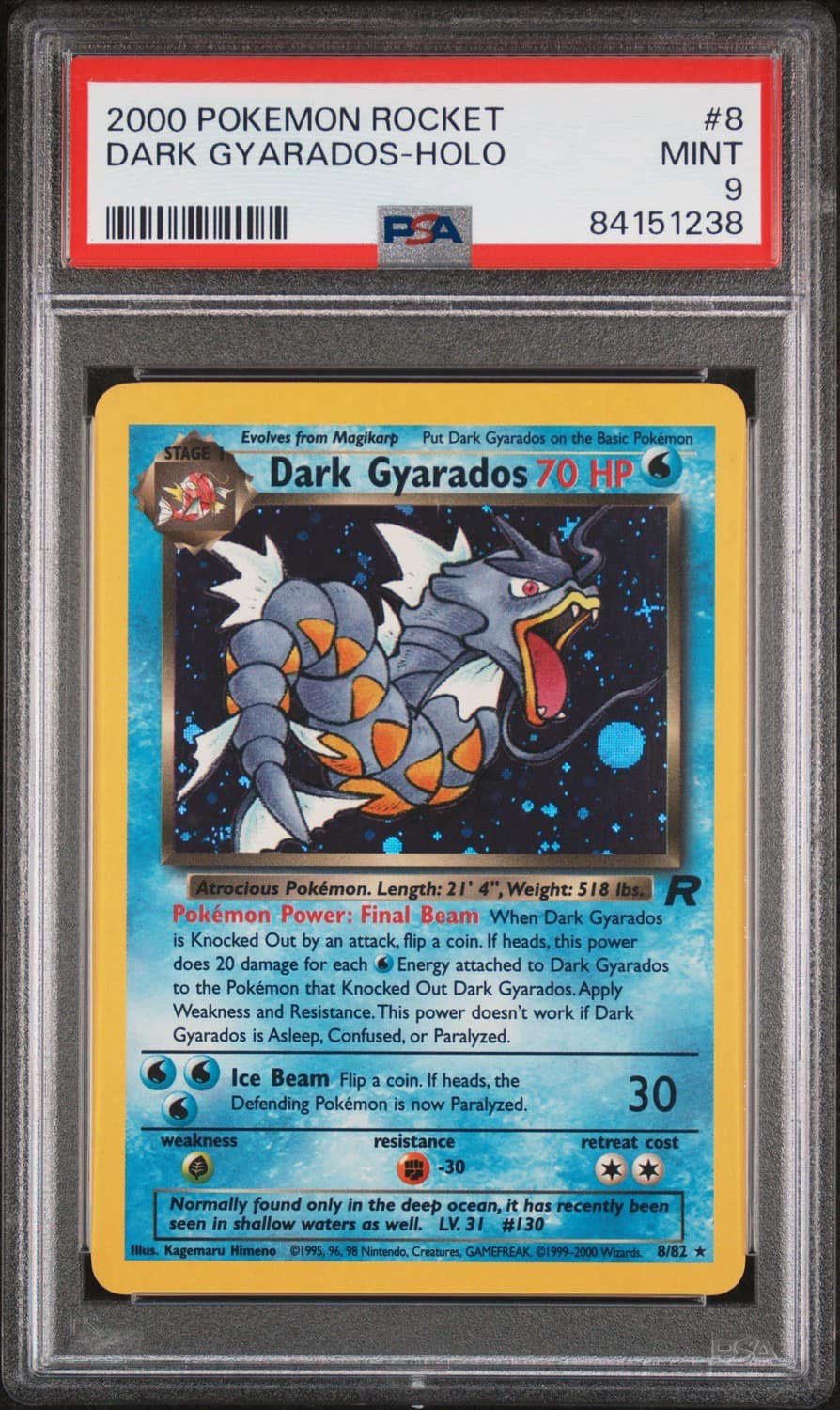 Dark Gyarados