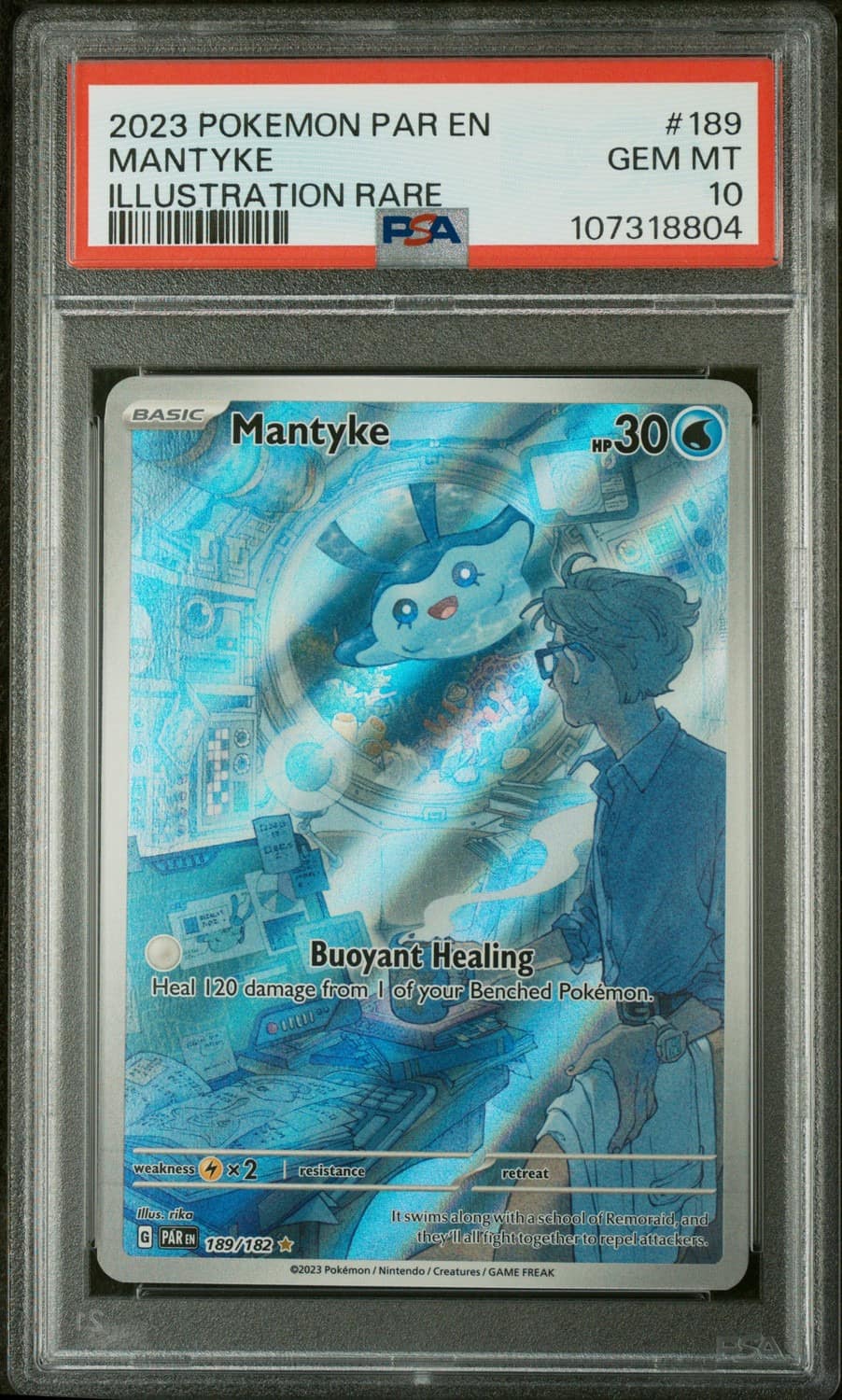 Mantyke