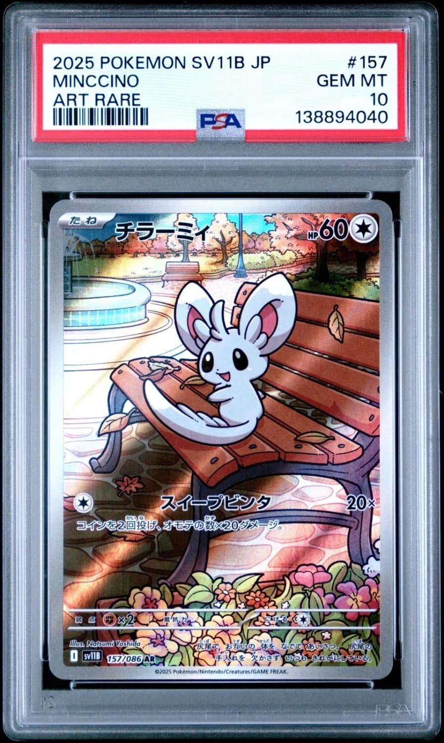 Minccino