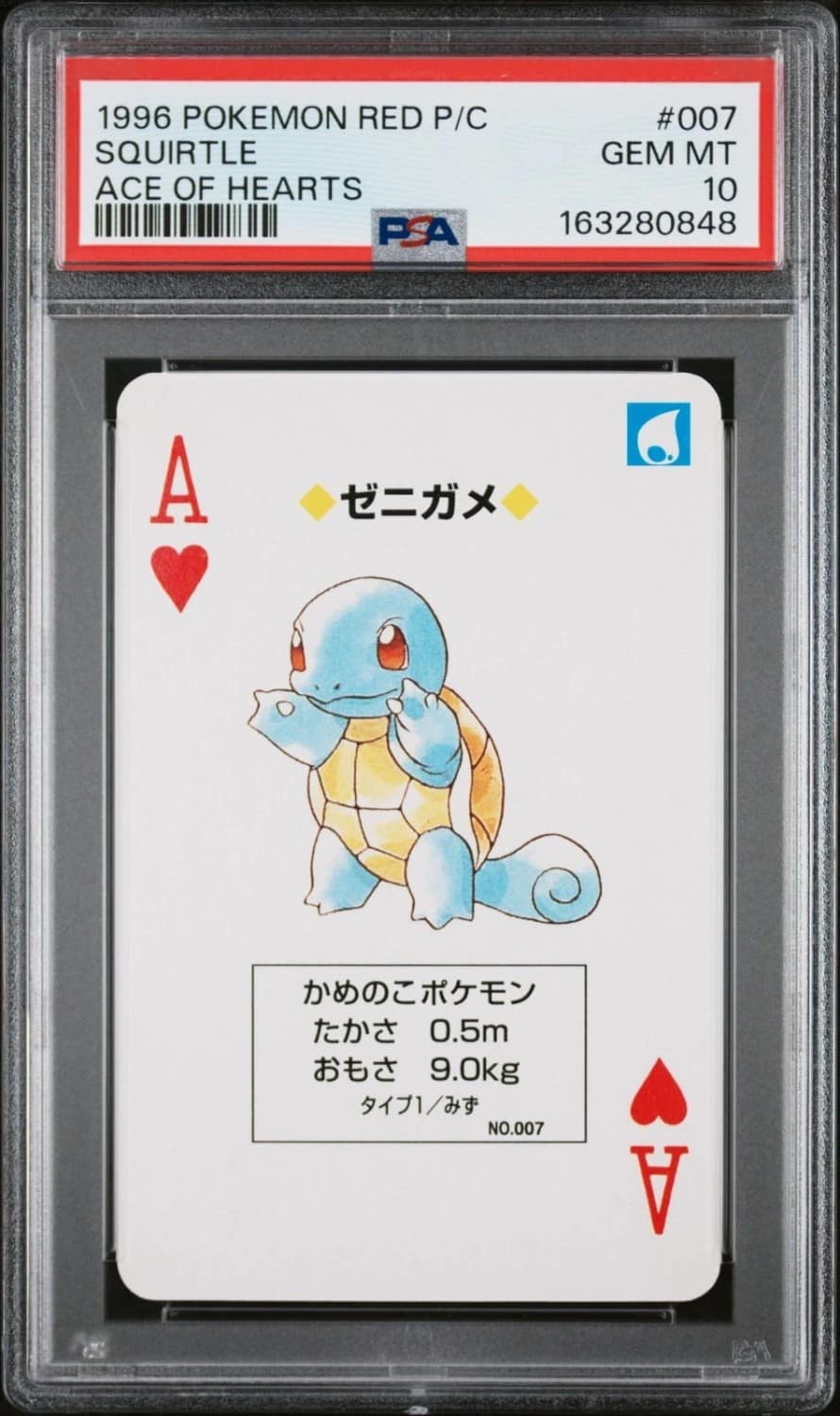 Squirtle