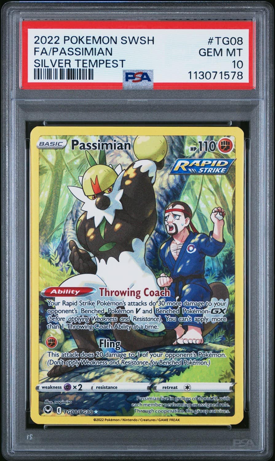 Passimian