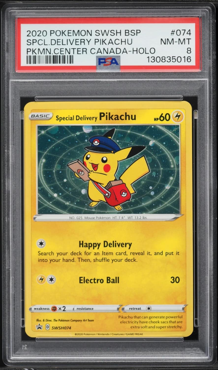 Special Delivery Pikachu