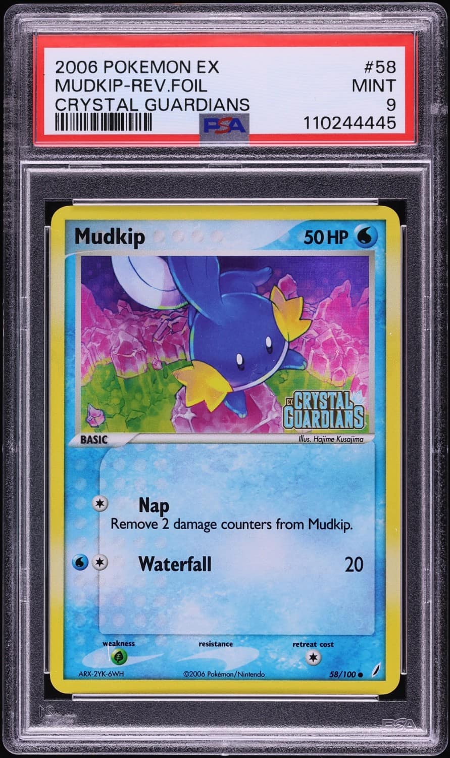 Mudkip