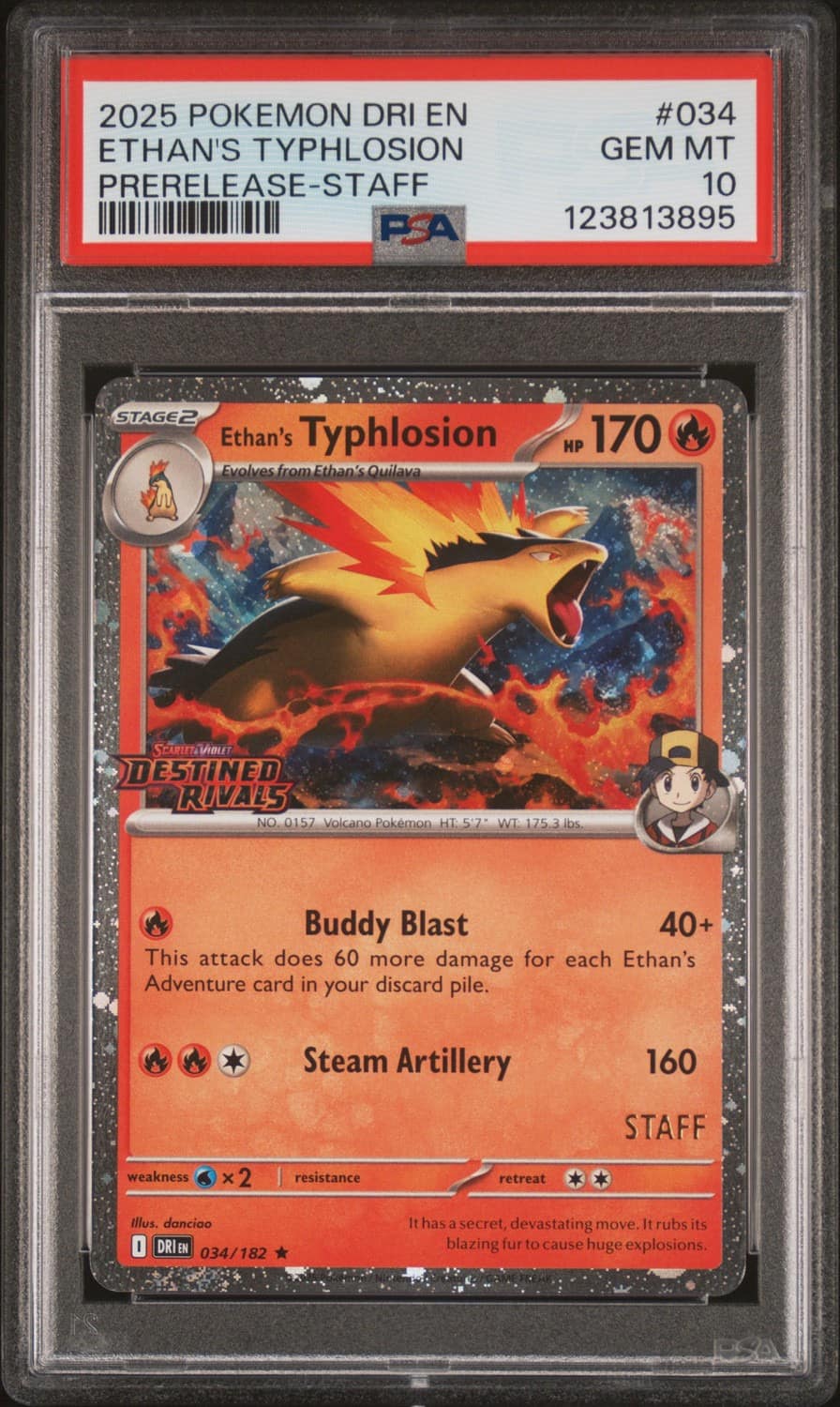 Ethan'S Typhlosion
