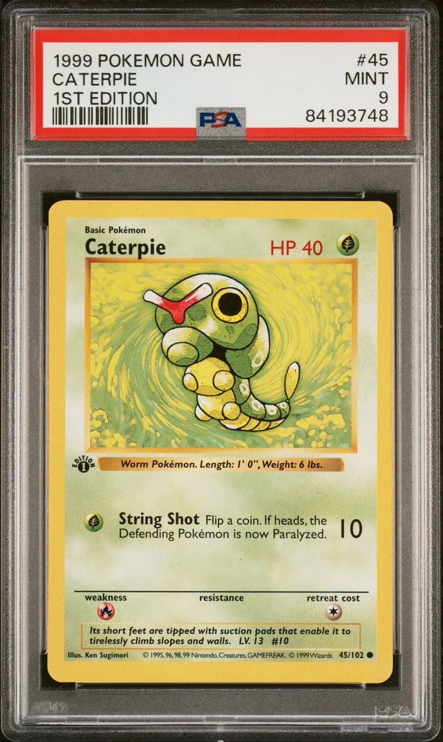Caterpie