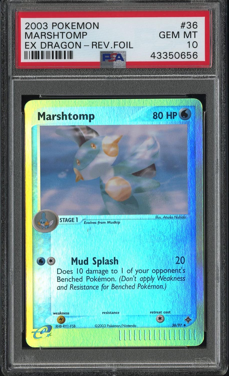 Marshtomp