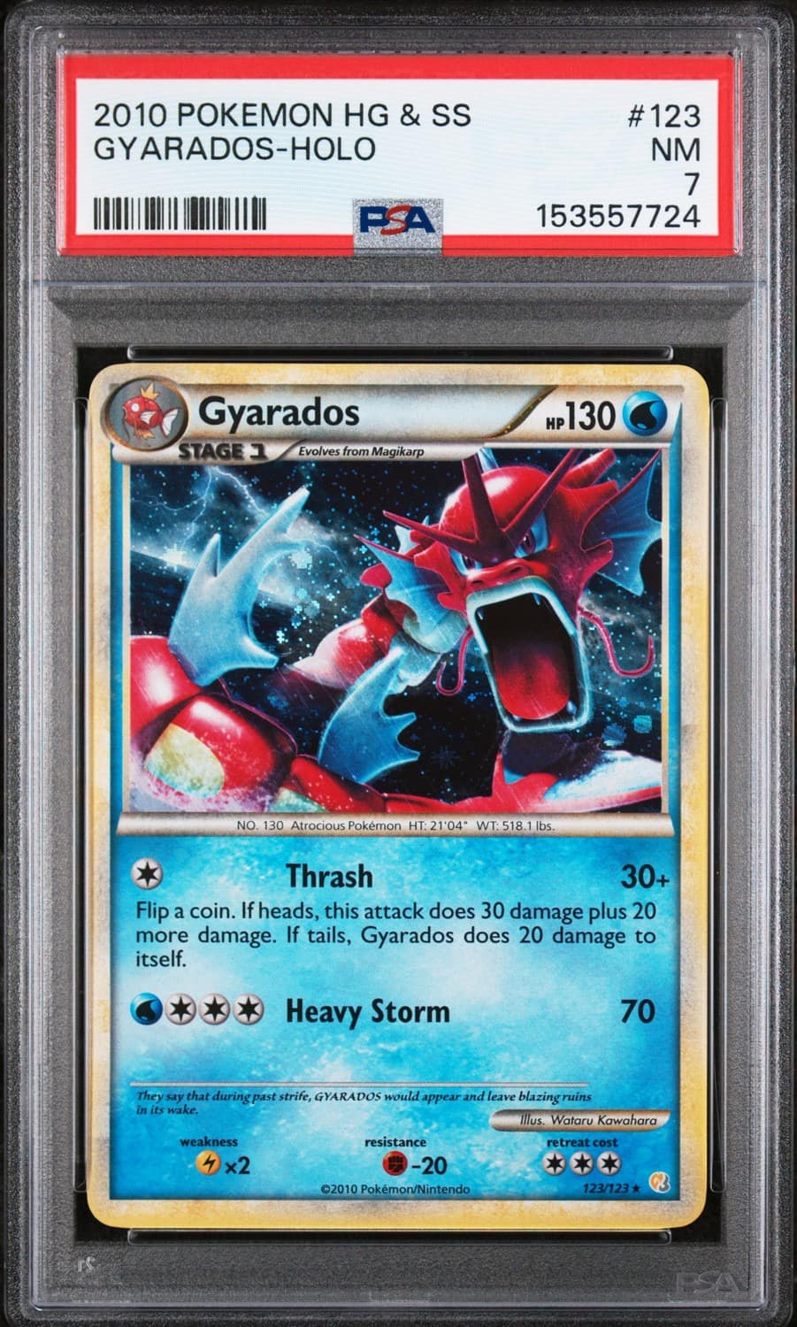 Gyarados