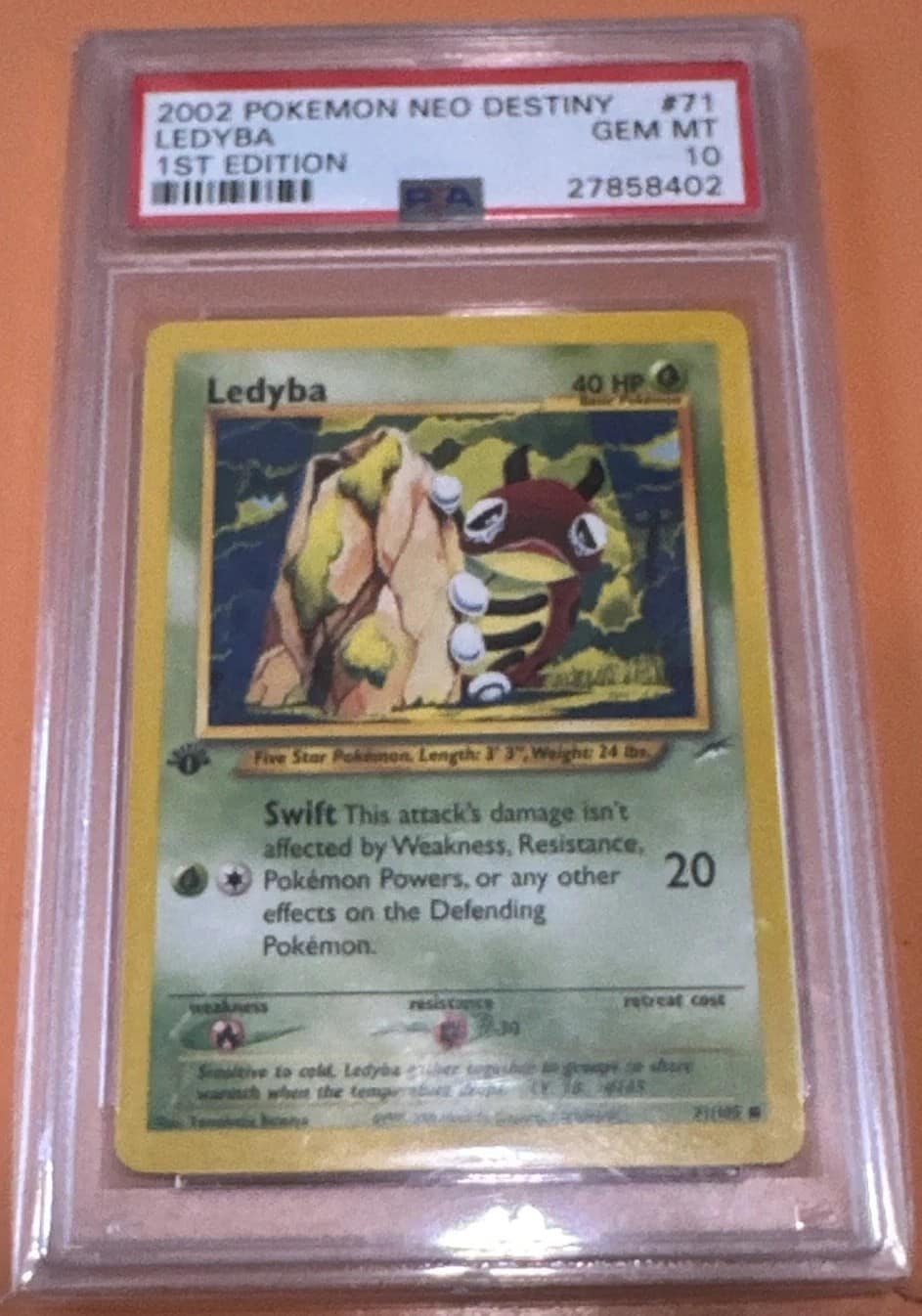 Ledyba