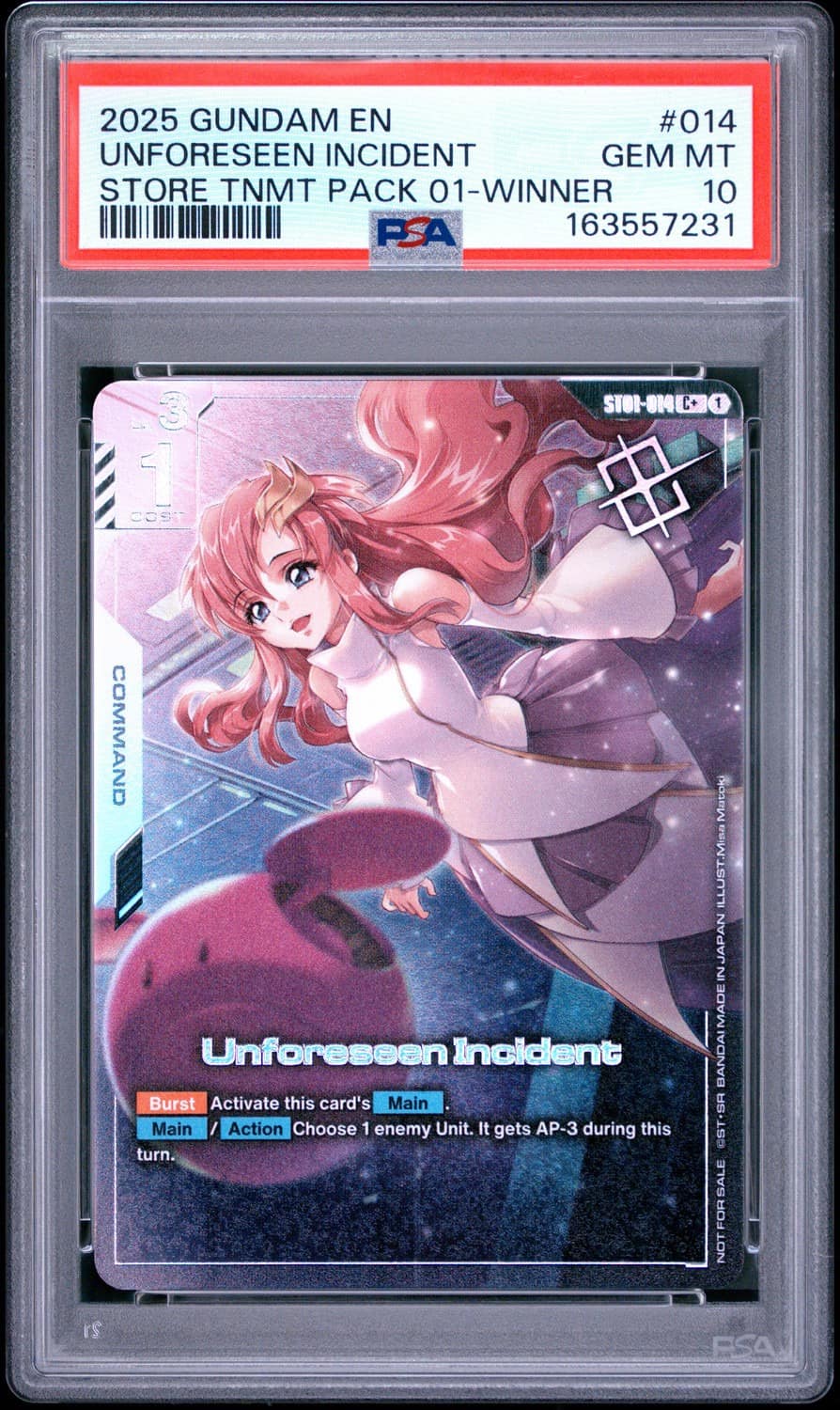 Unforeseen Incident