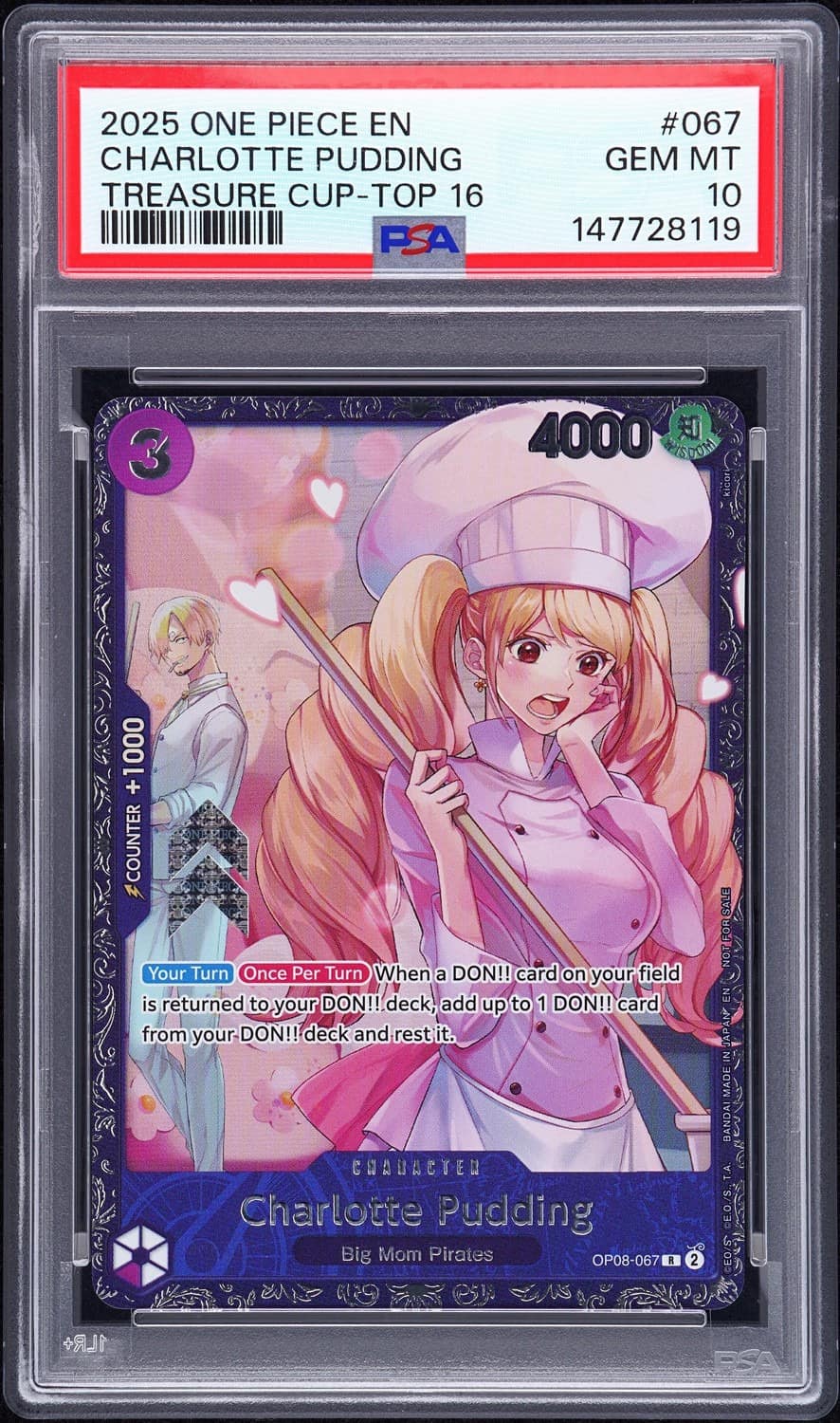 Charlotte Pudding