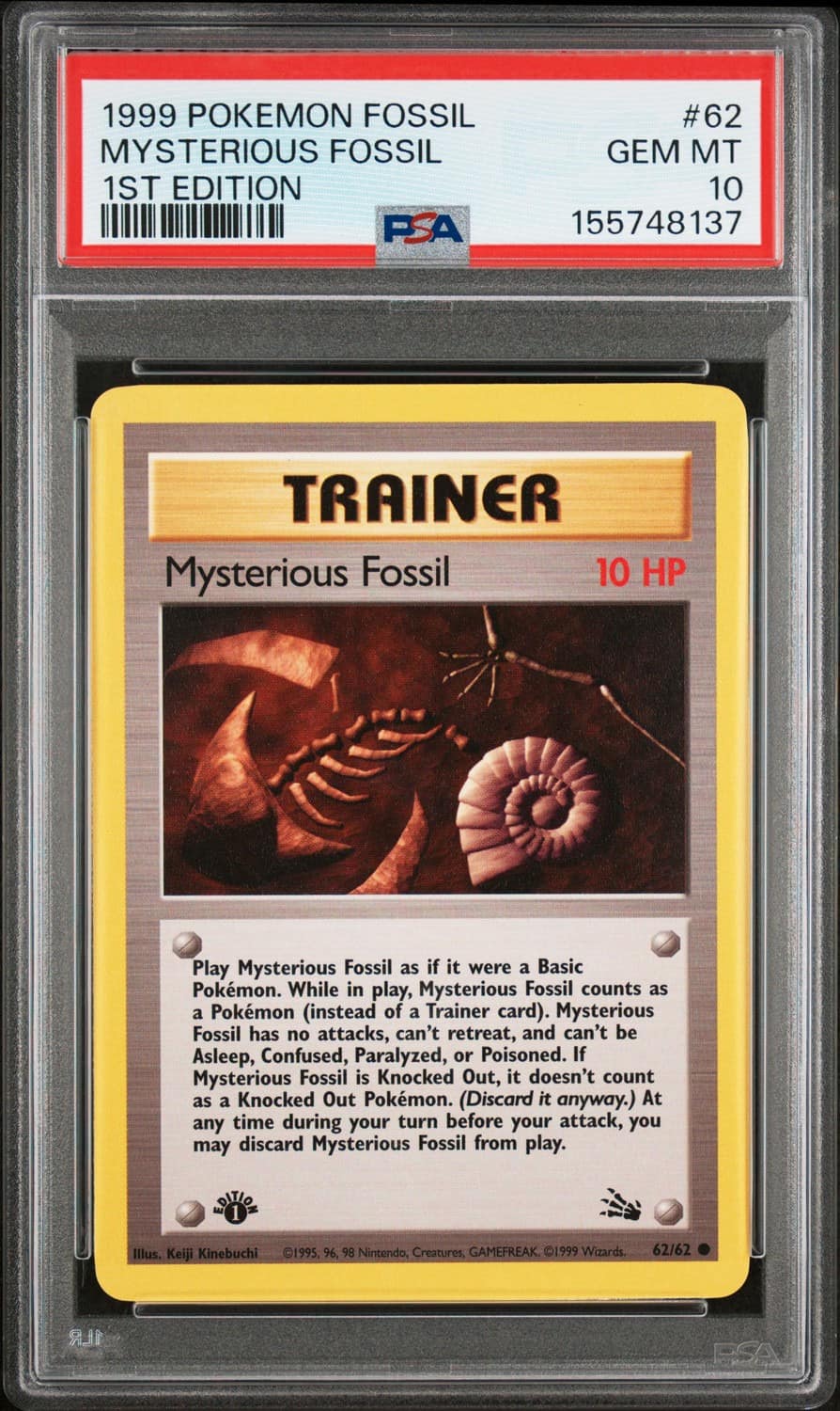 Mysterious Fossil