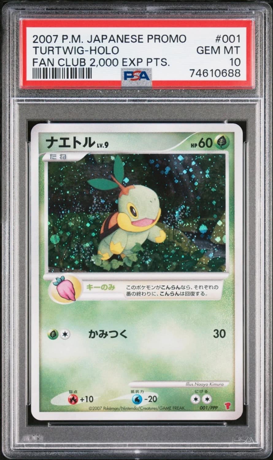 Turtwig