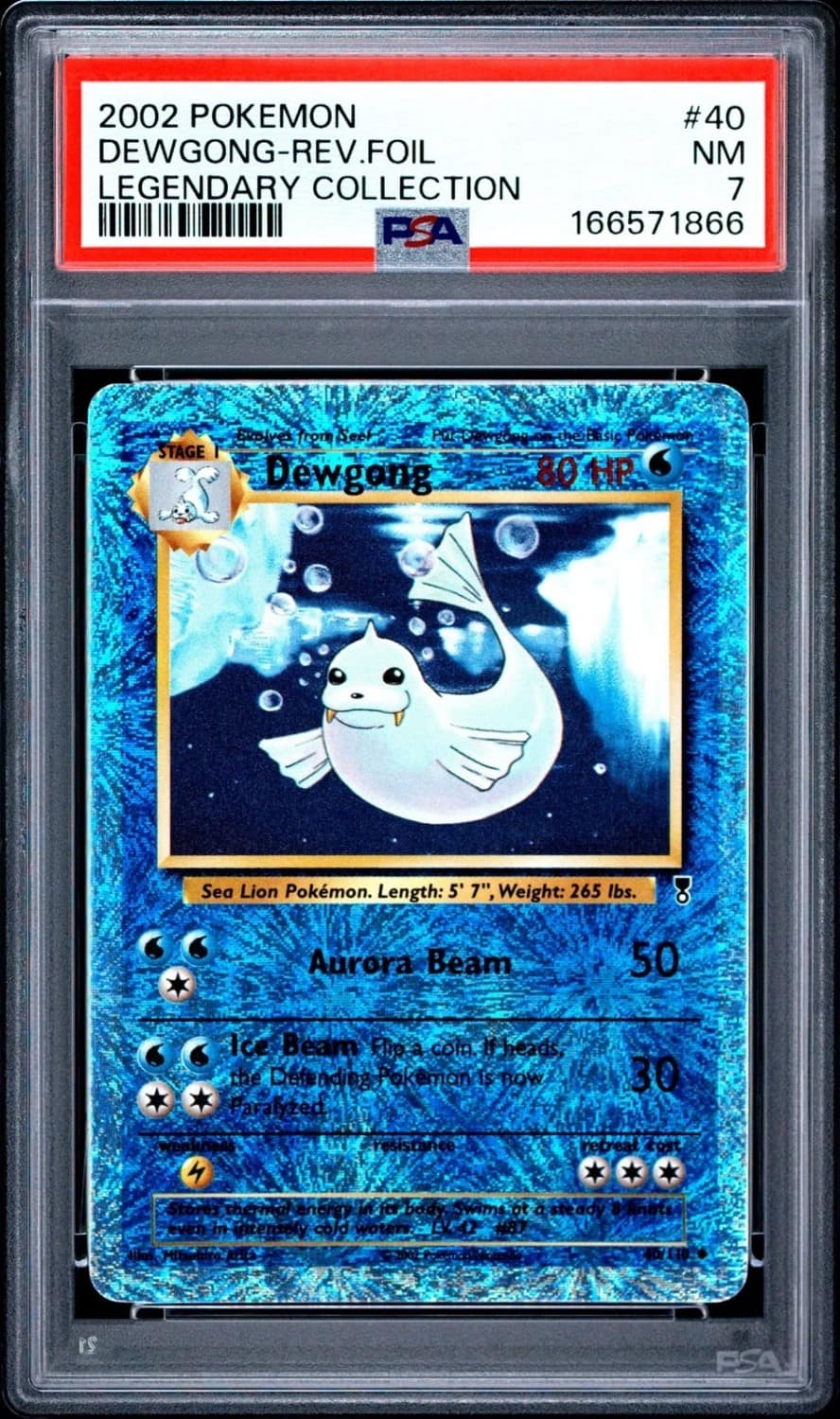Dewgong