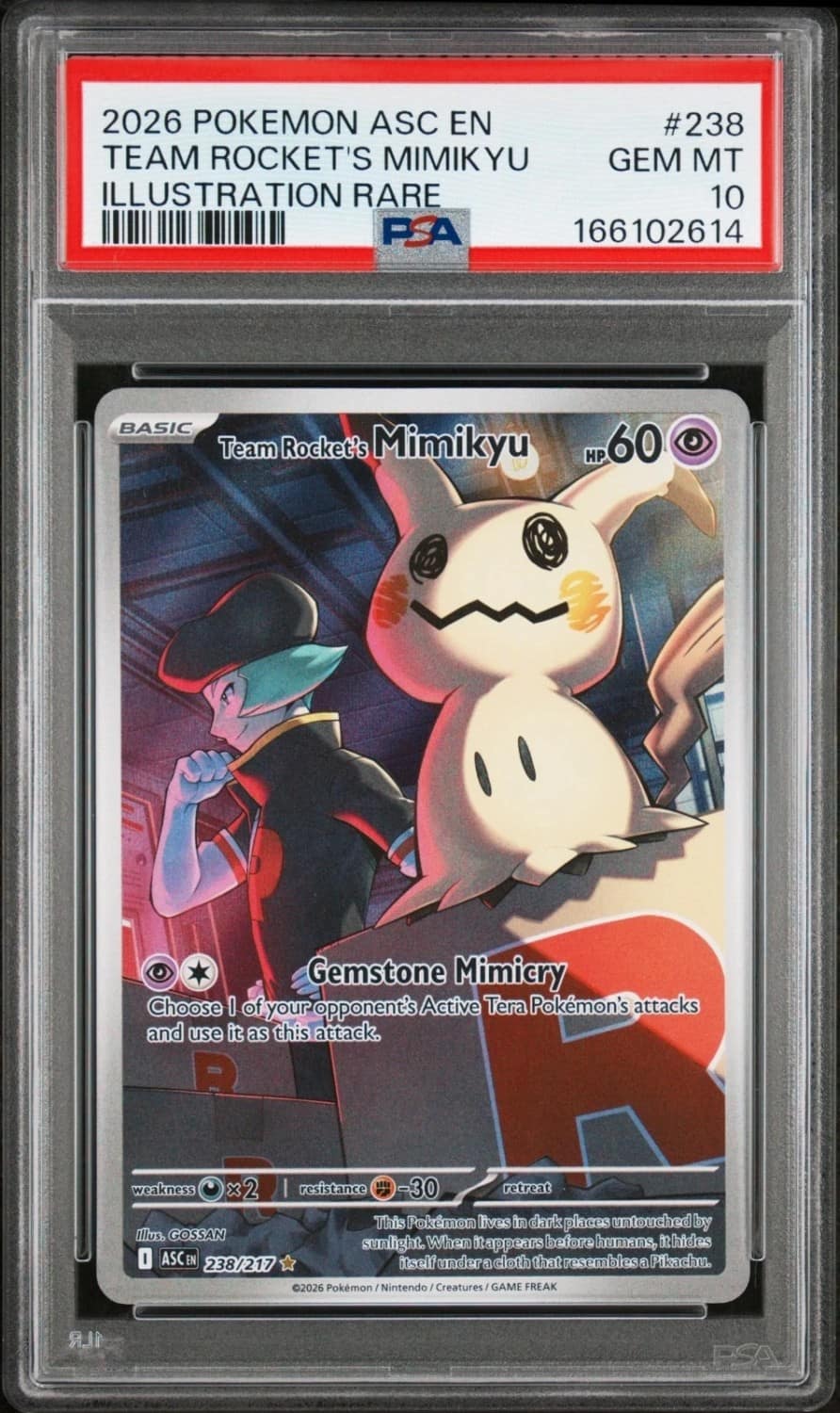 Team Rocket'S Mimikyu