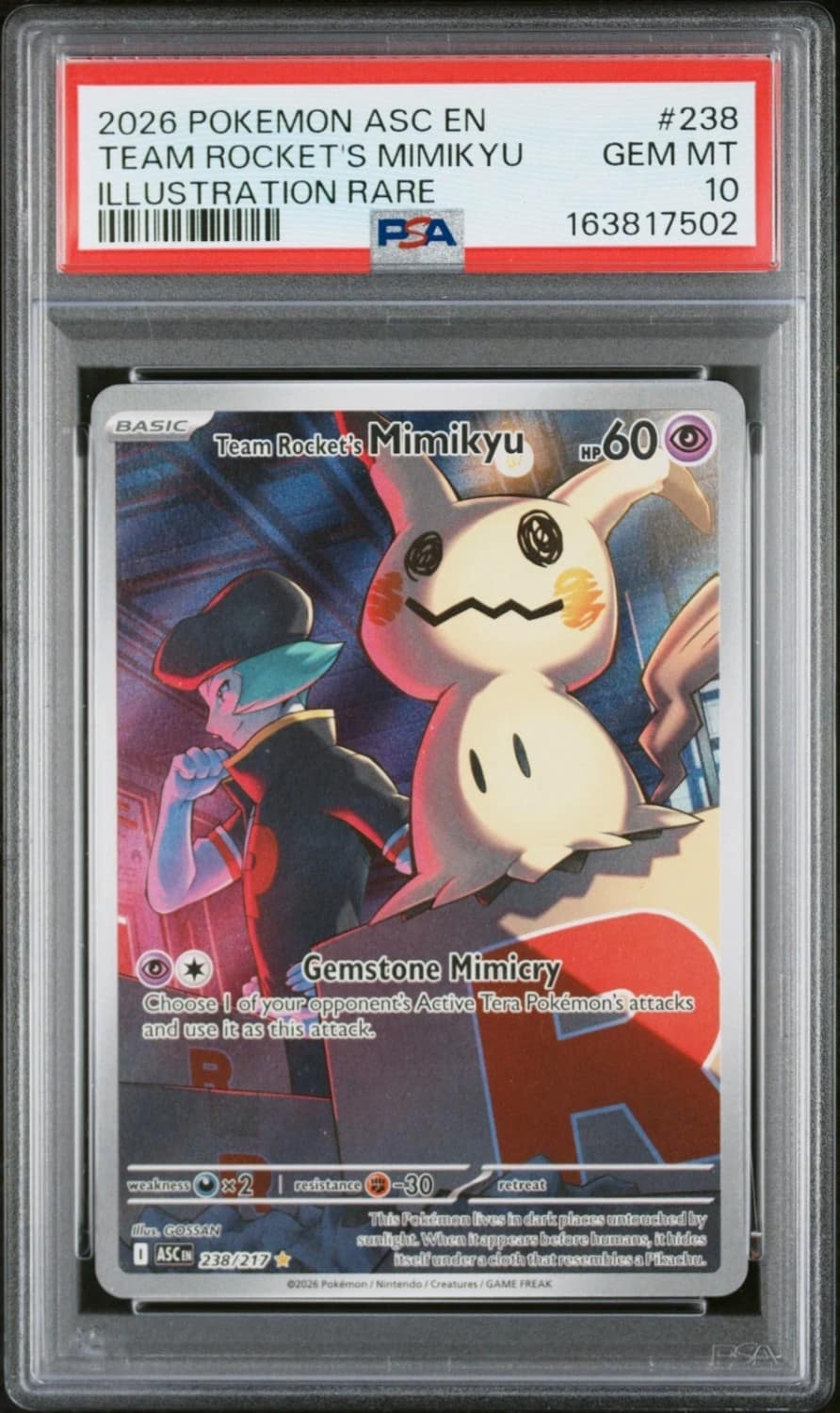 Team Rocket'S Mimikyu
