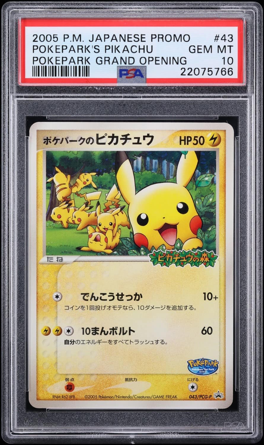 Pokepark'S Pikachu