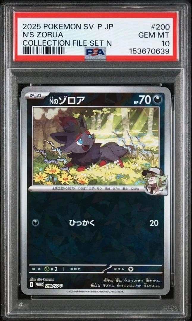 N'S Zorua