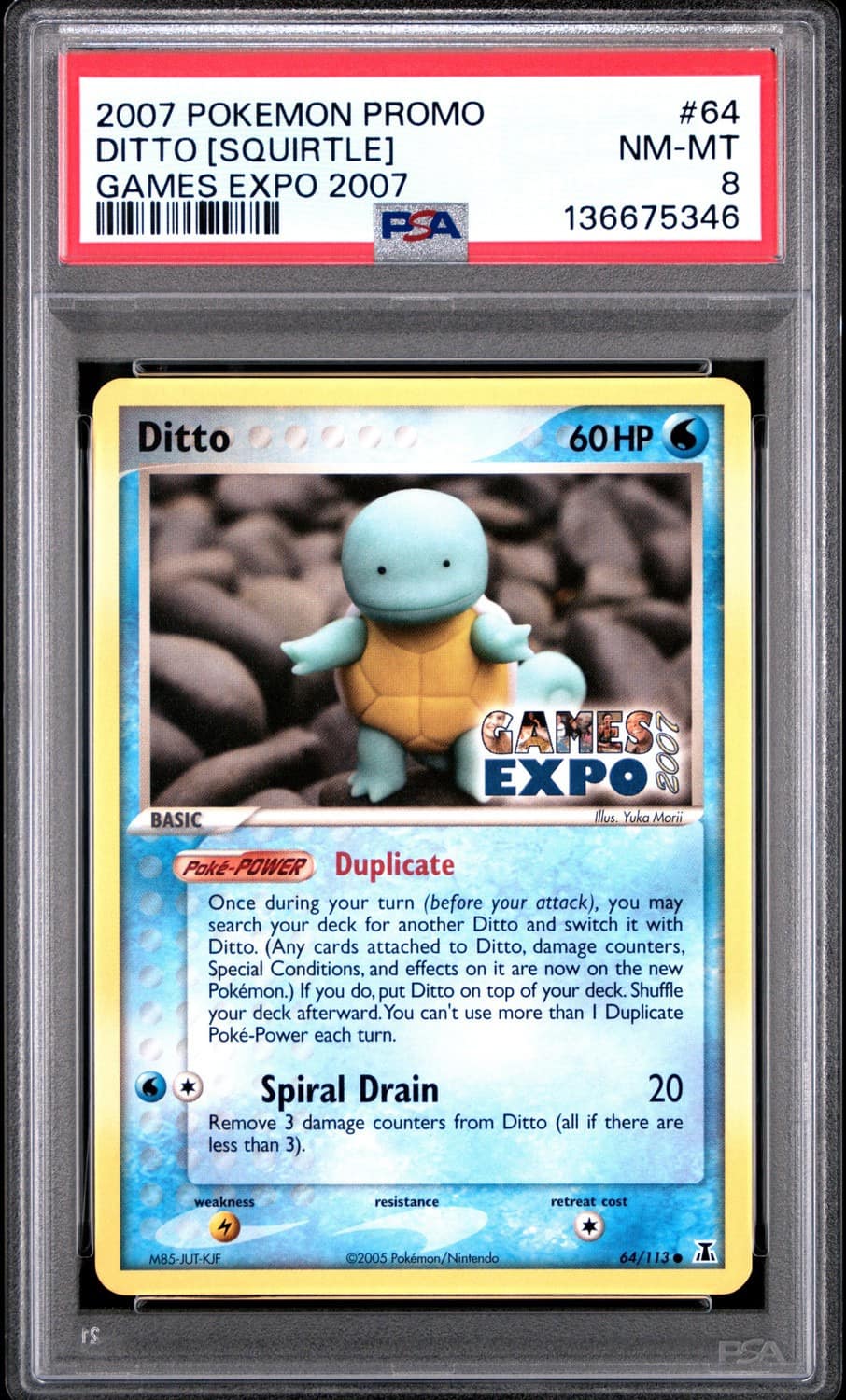 Ditto [squirtle]