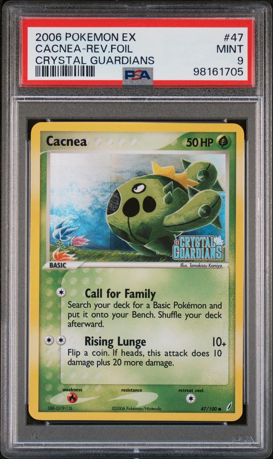 Cacnea