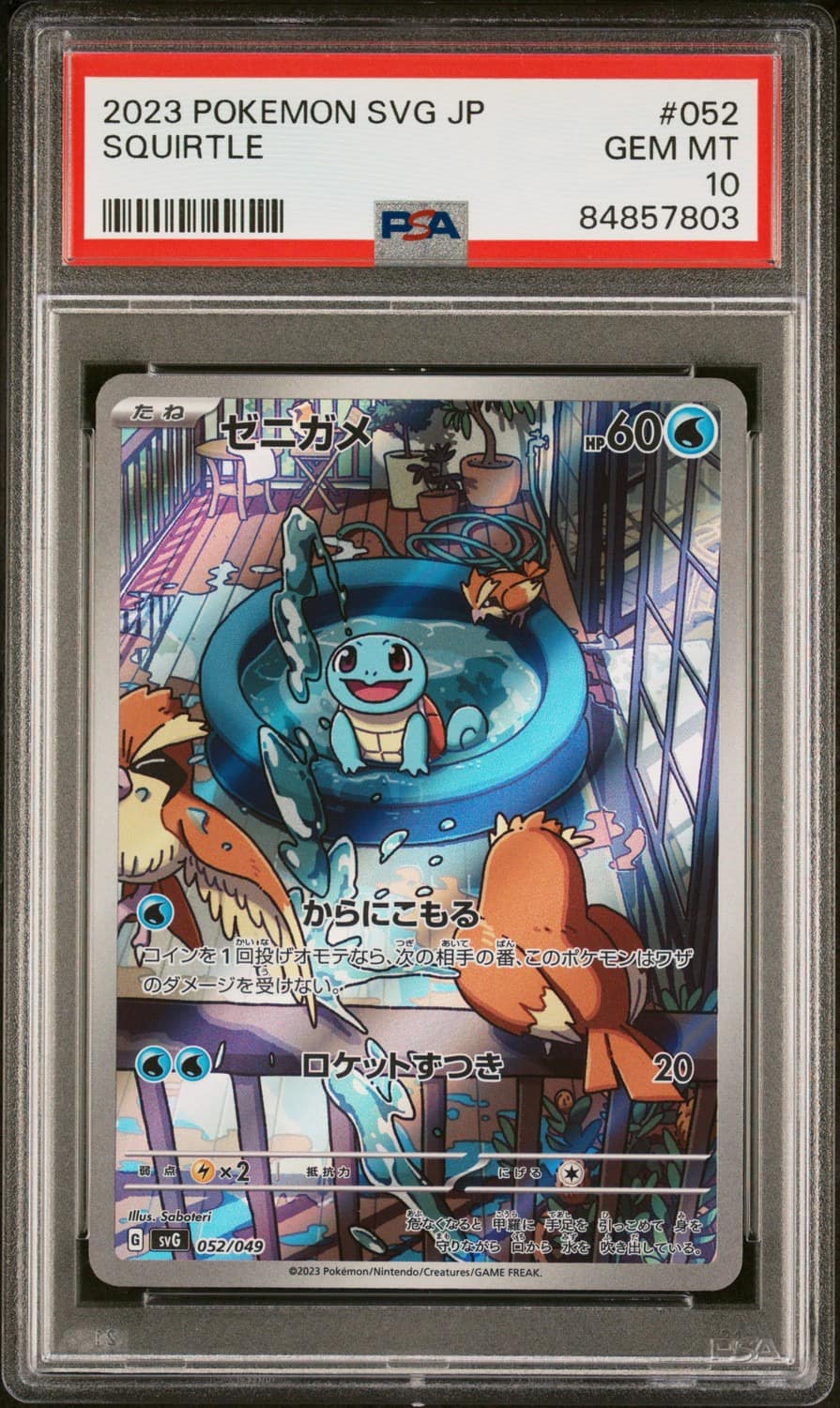 Squirtle