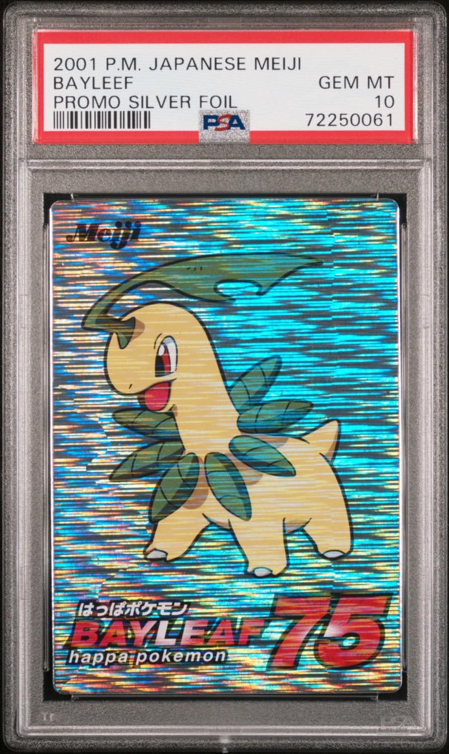 Bayleef