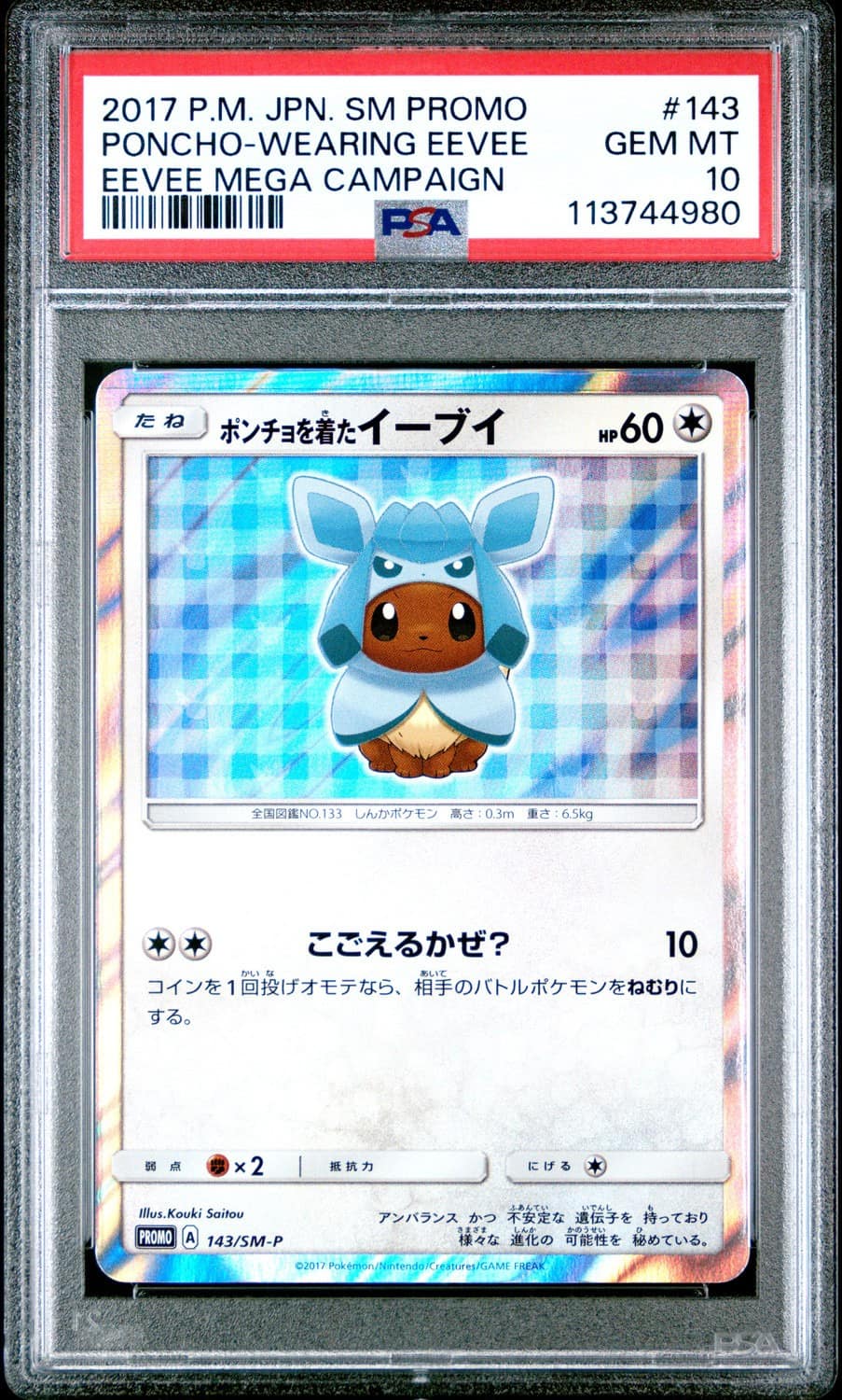 Poncho-Wearing Eevee