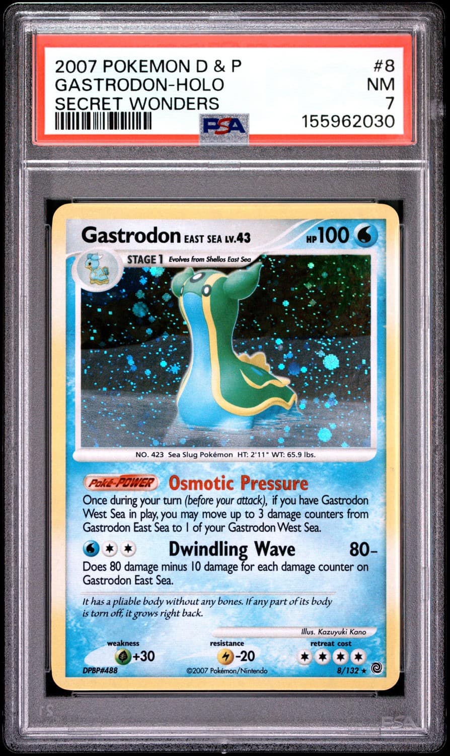 Gastrodon