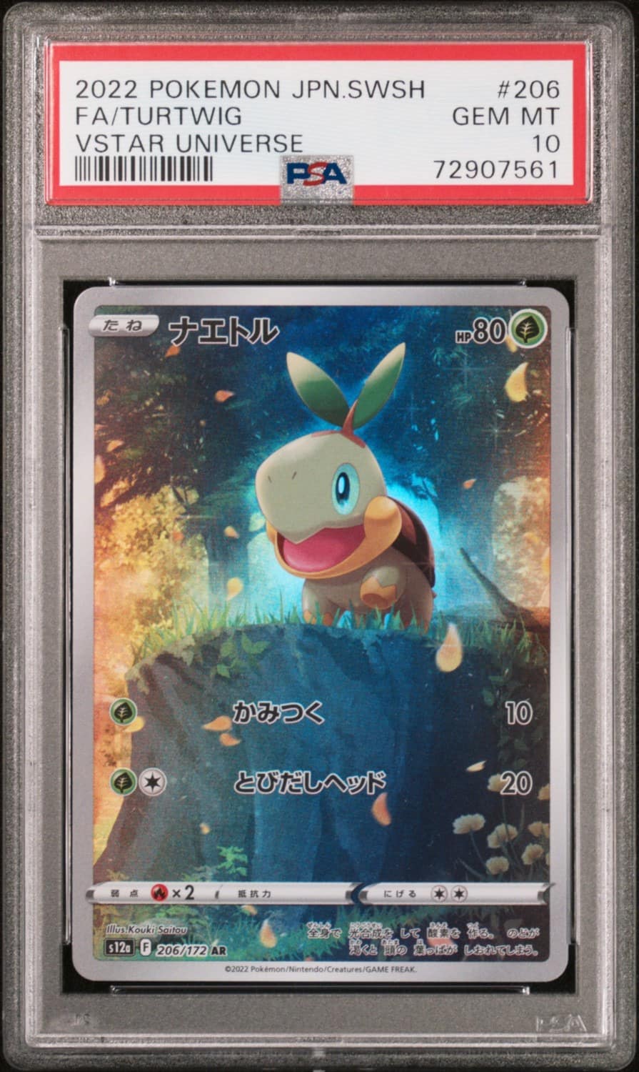 Turtwig