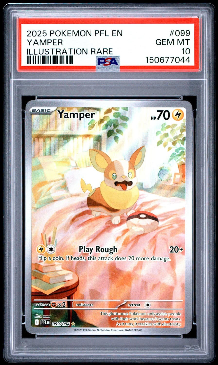 Yamper