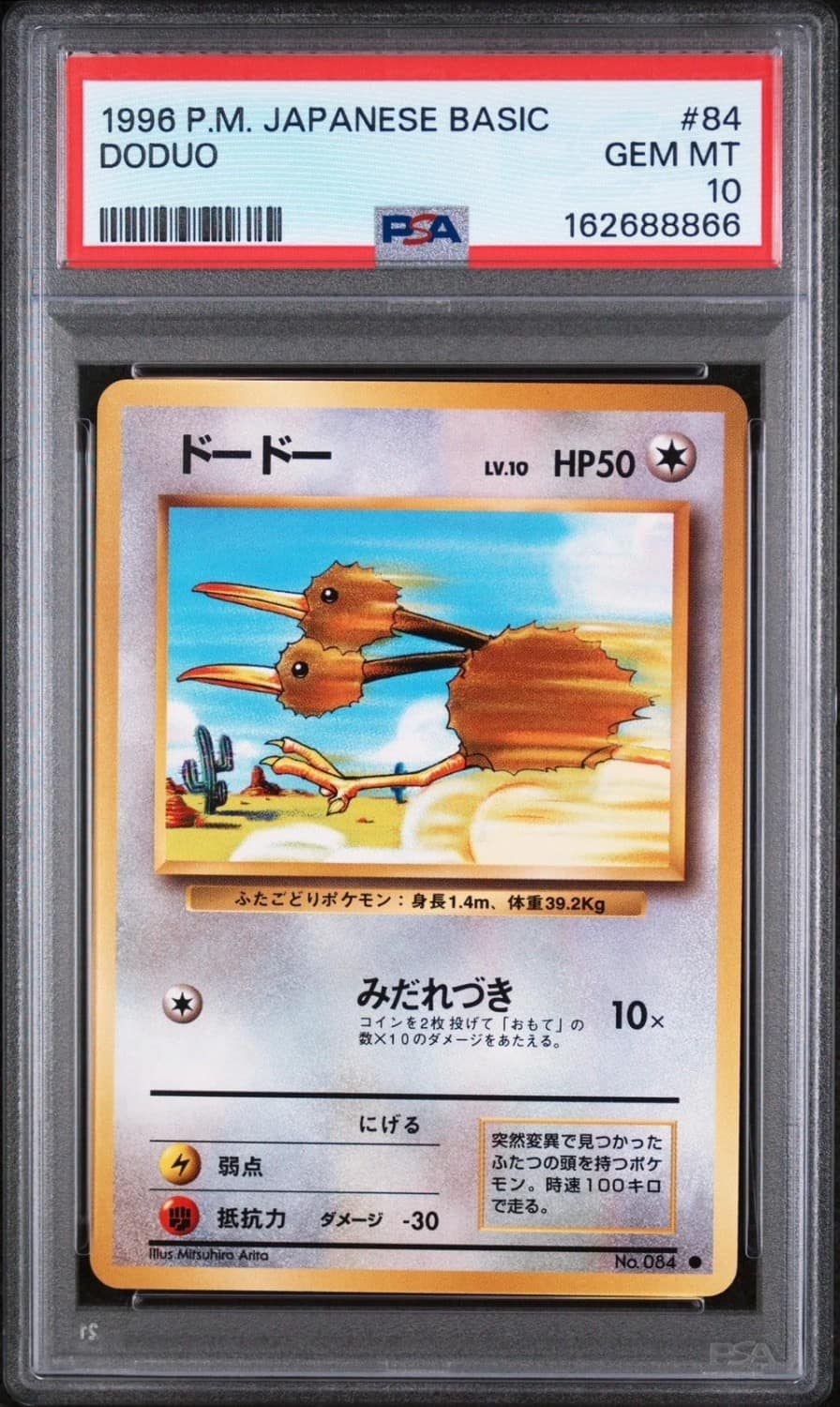 Doduo