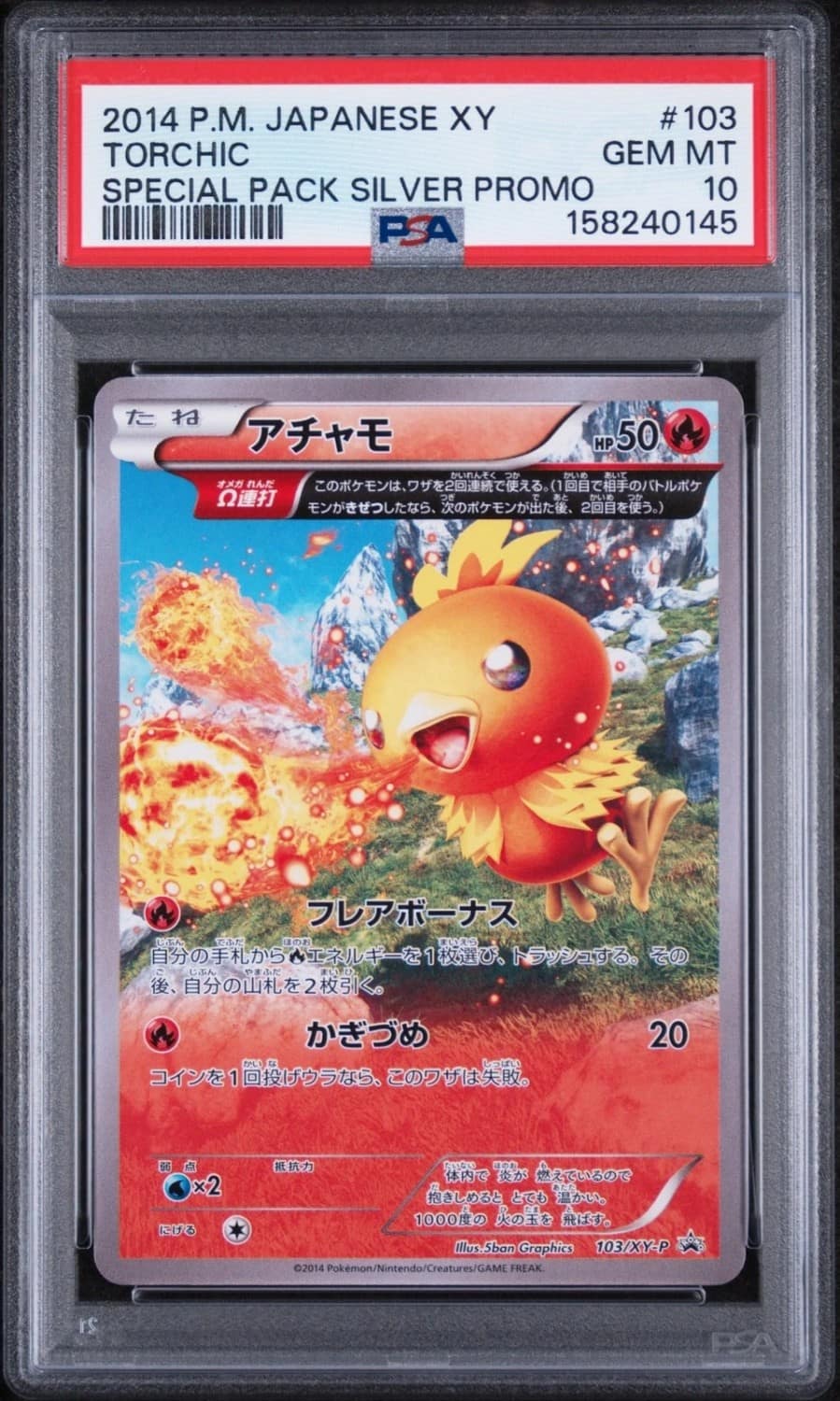 Torchic